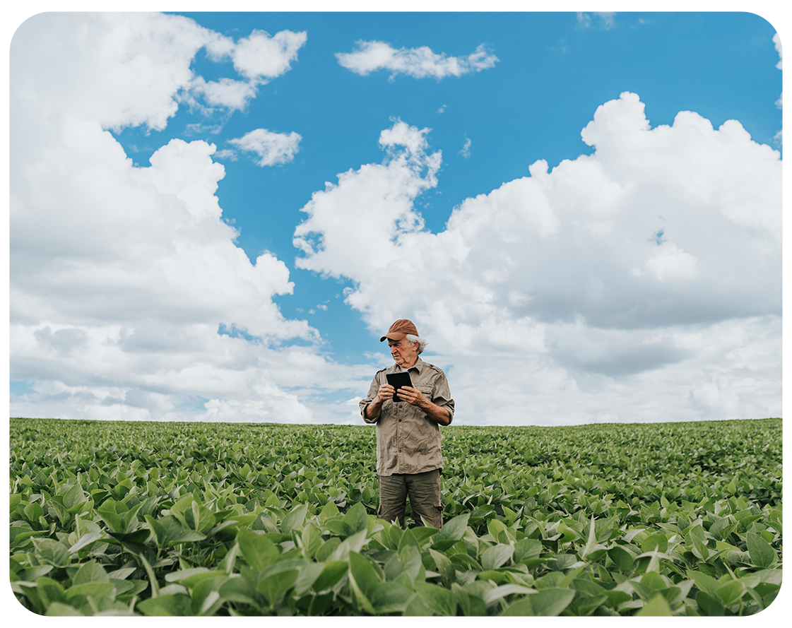 pin de compra movistar